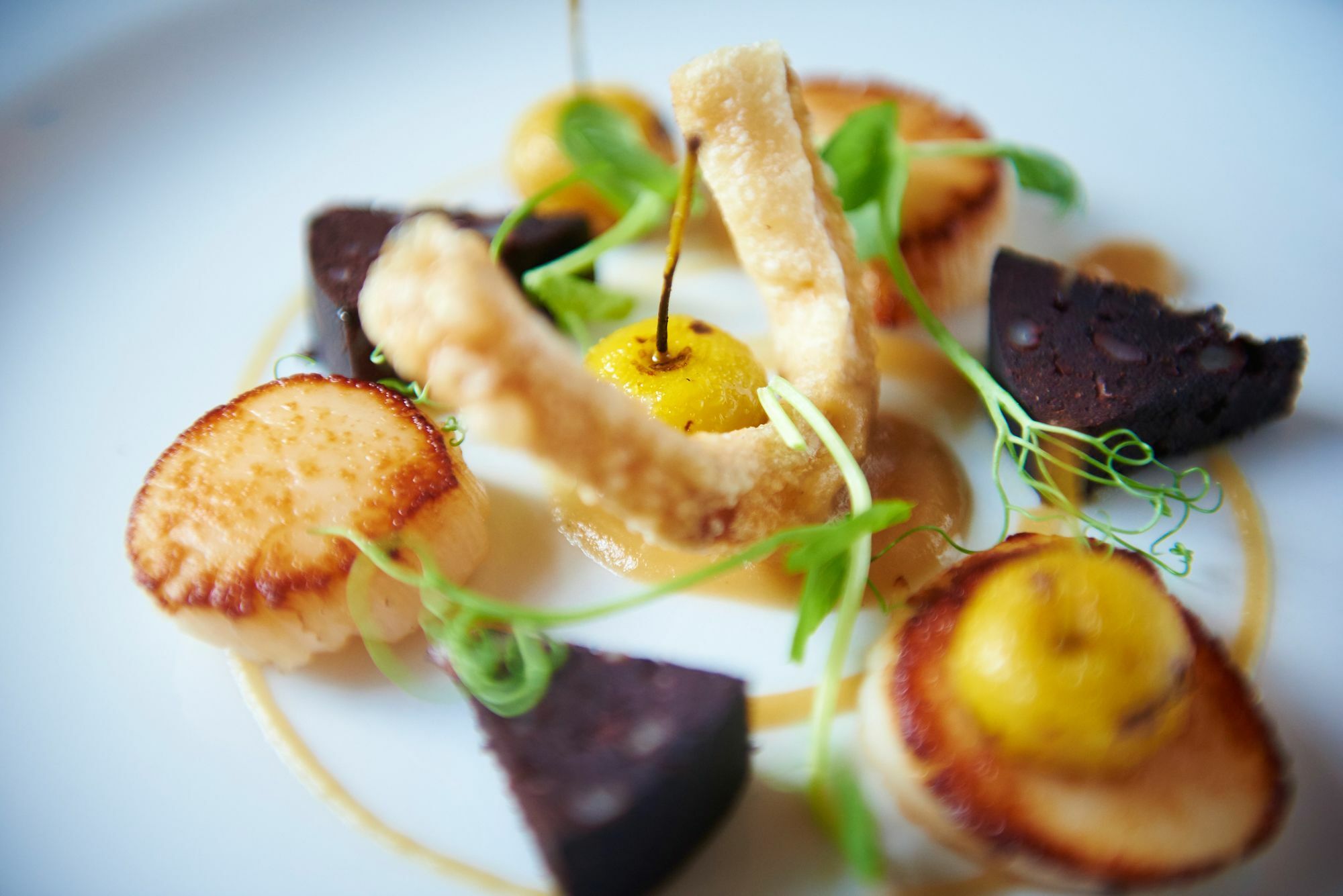 Buckland Tout Saints Hotel Totnes Εξωτερικό φωτογραφία